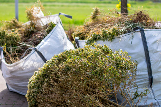Best Attic Cleanout Services  in Rogersville, MO