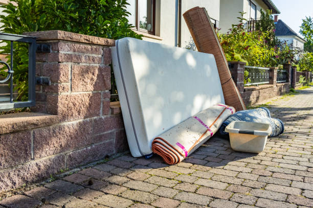 Best Yard Cleanup Services  in Rogersville, MO